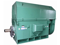 巴州Y系列6KV高压电机